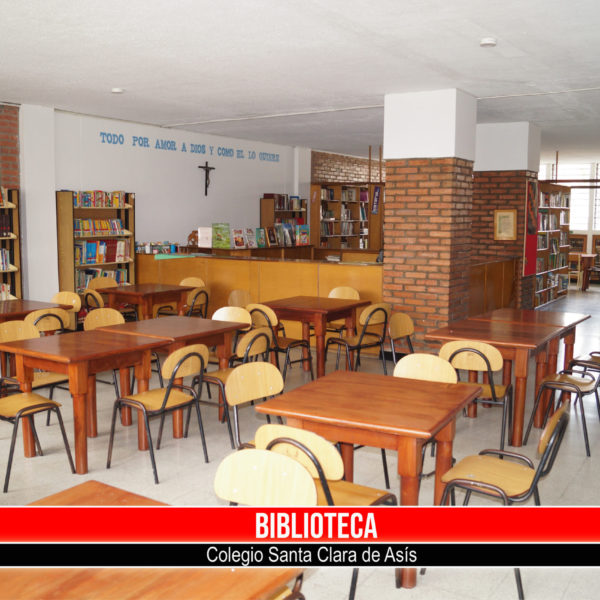 biblioteca-01